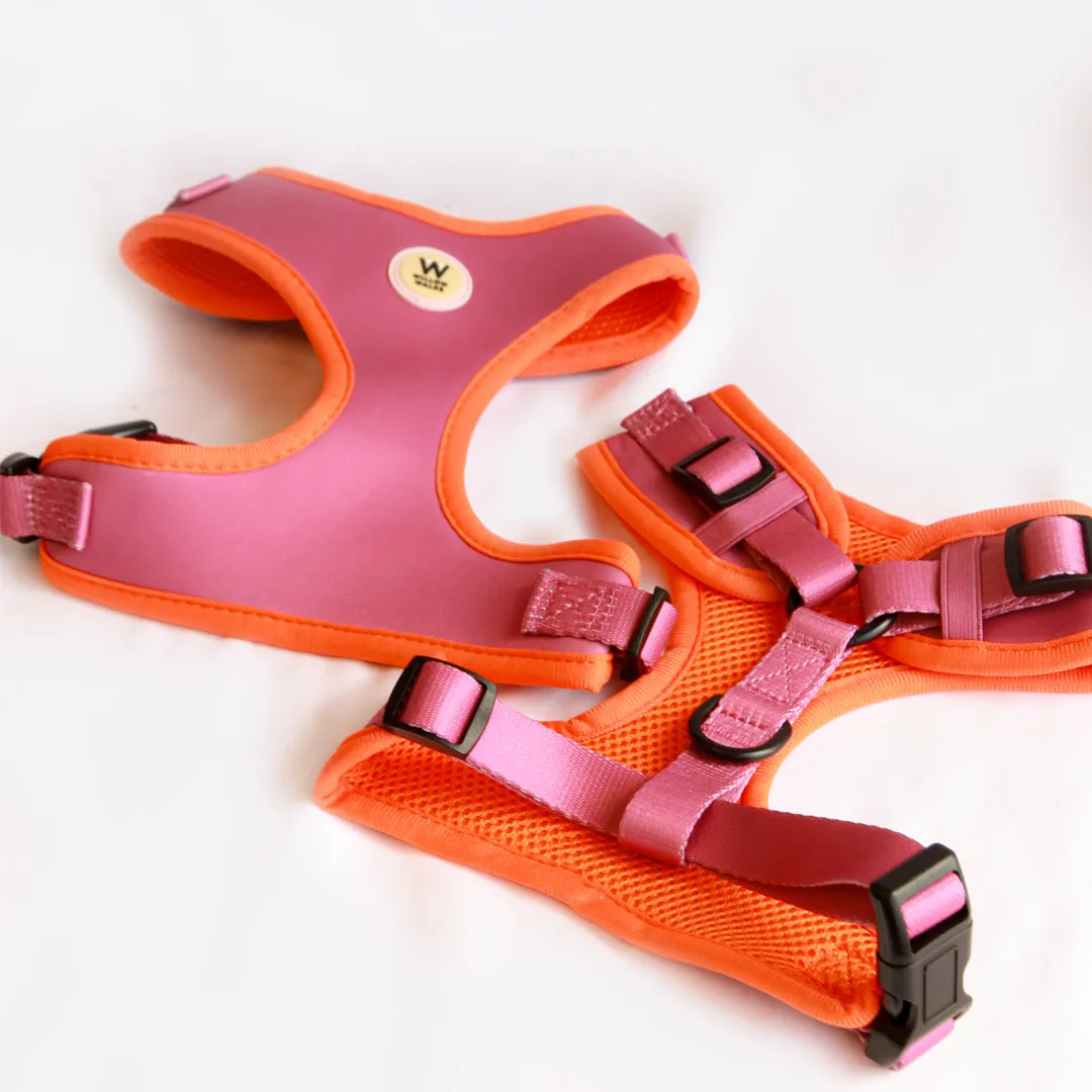 Willow Walks Bundle in fuchsia and orange SAVE £18