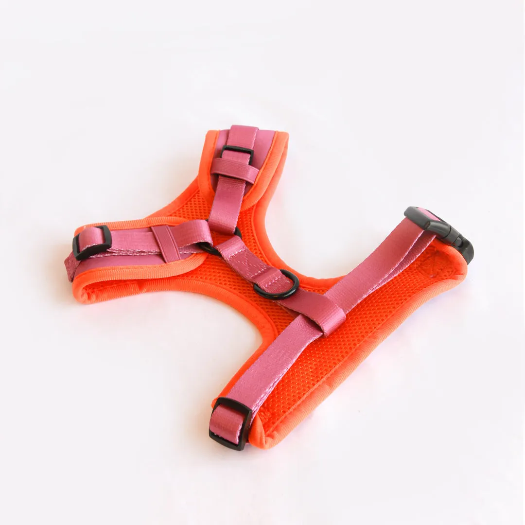 Willow Walks Bundle in fuchsia and orange SAVE £18